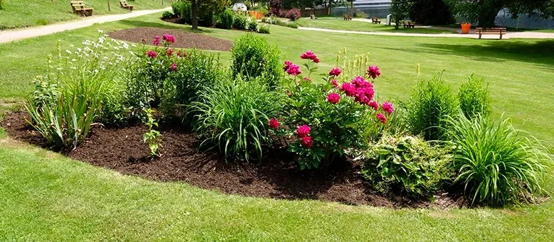 Conception de massif près de Ussac