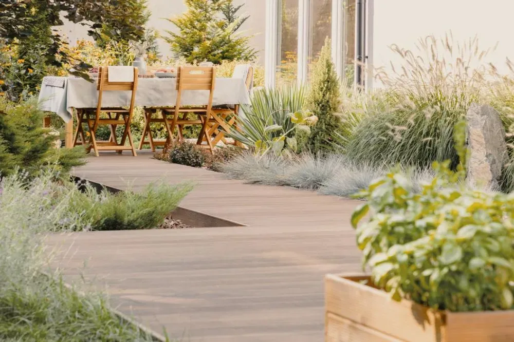 Plantes extérieures près de Ussac