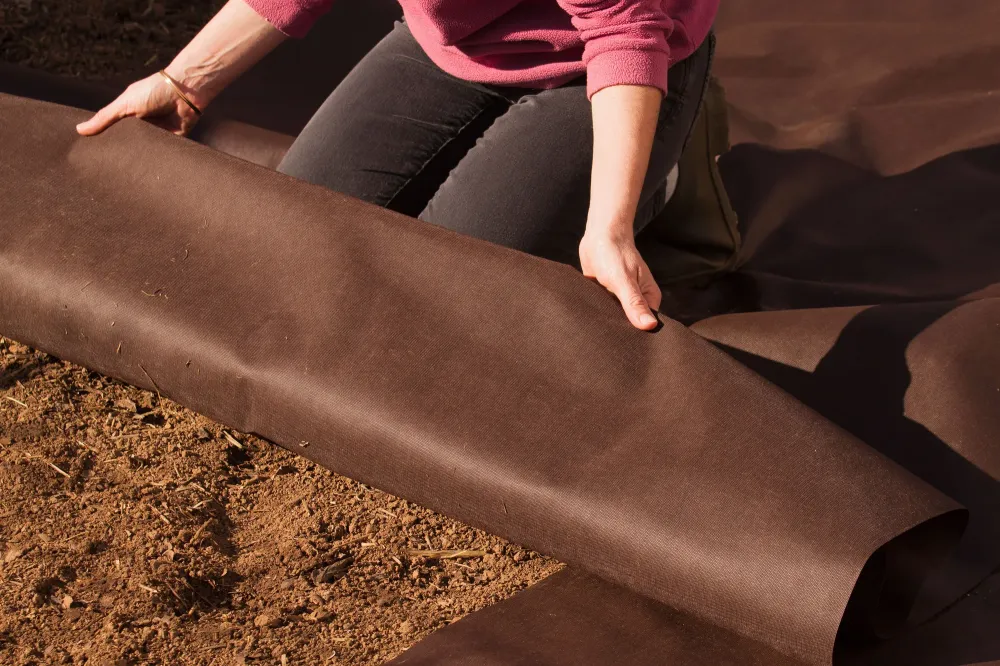 Bâche anti-rhizome près de Ussac